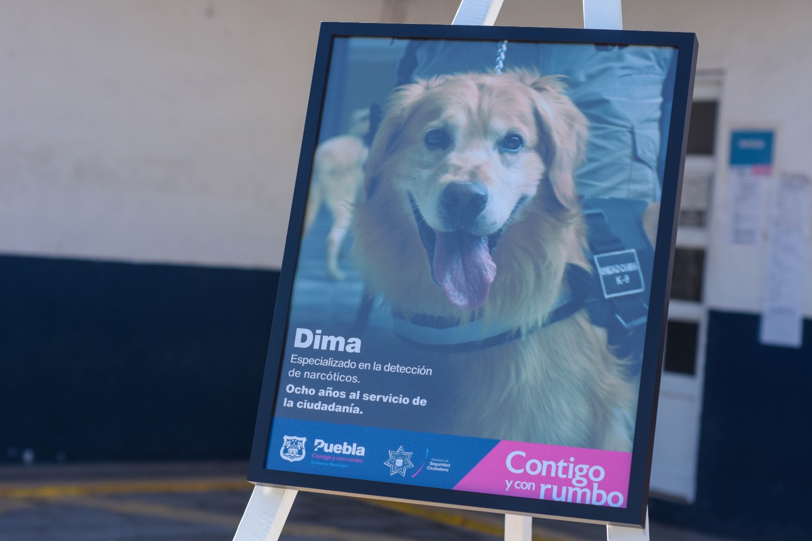 Dima, el perro policía que recibió un homenaje póstumo 