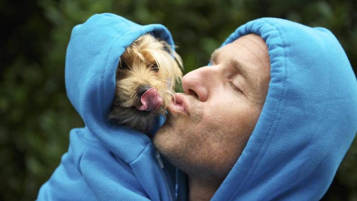 Por: Cortesía Tu mascota puede tener acta de nacimiento y CURP en estos estados