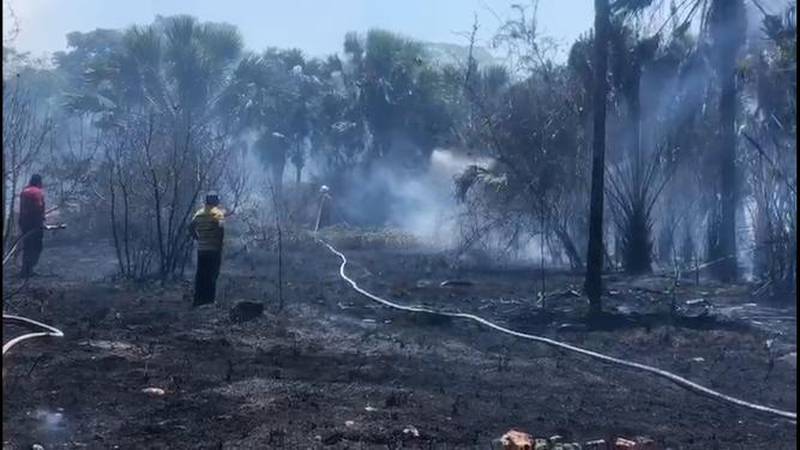 Por: Cortesía Incendio en Campeche consume más de 150 hectáreas de área protegida de Los Petenes