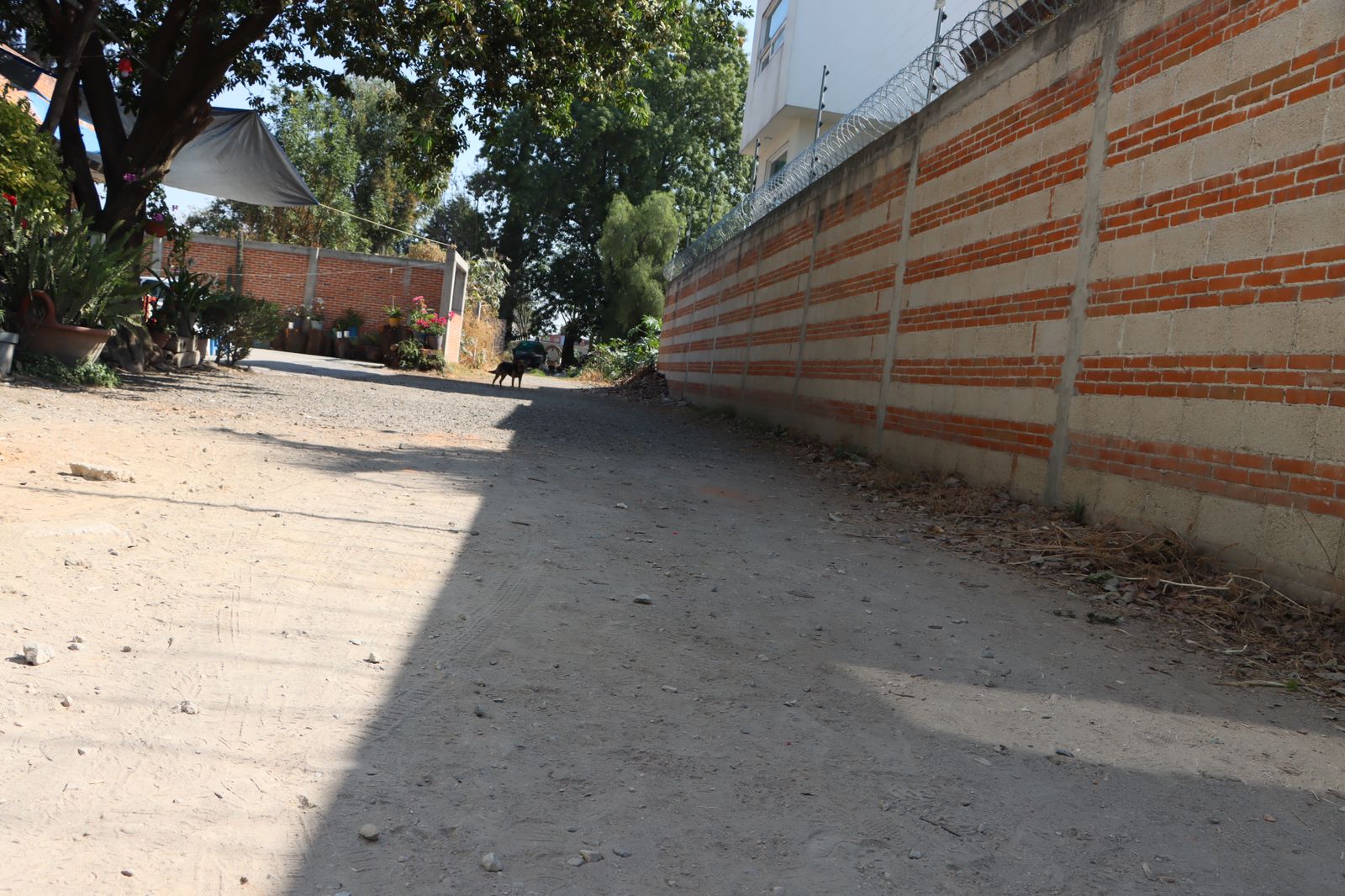 Comunicado oficial Arrancan trabajos de pavimentación en la privada Atoyac en la cabecera municipal en Cuautlancingo