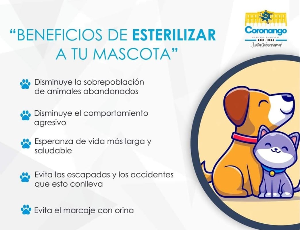 Hay continuidad en los trabajos coordinados del SEDIF y SMDIF: Guadalupe Cuautle