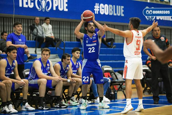 Por: Cortesía Borregos Puebla quiere sacarse la espina en Liga ABE