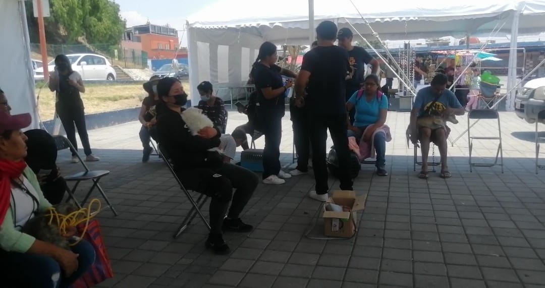 Por: Cortesía Lula Pineda Bienestar Animal de San Pedro Cholula realiza jornada de esterilización masiva