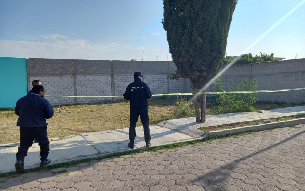 Localizan cráneo humano en predio de Ixtacuixtla; era devorado por perros 