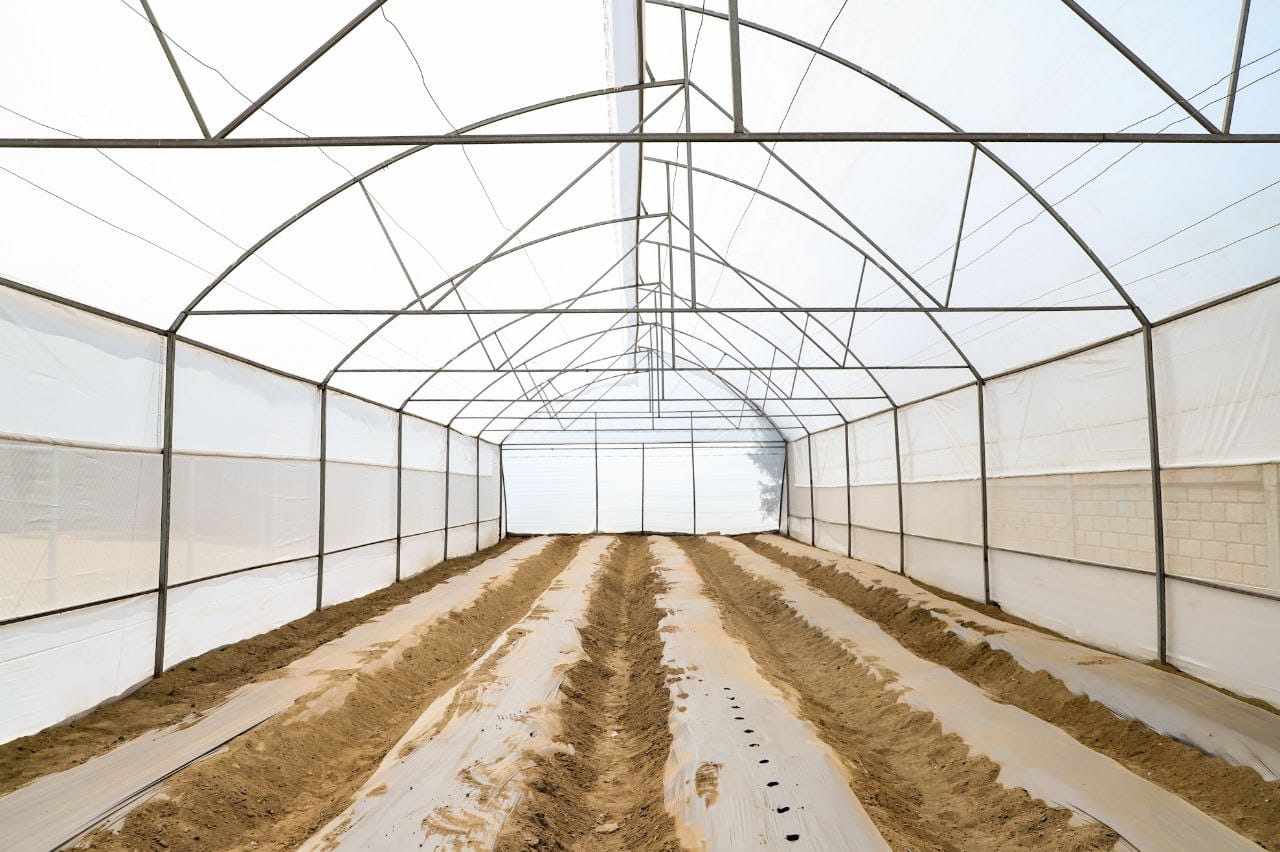 Rehabilita Ayuntamiento sanandreseño invernadero del Bachillerato General Tehuiloyocan