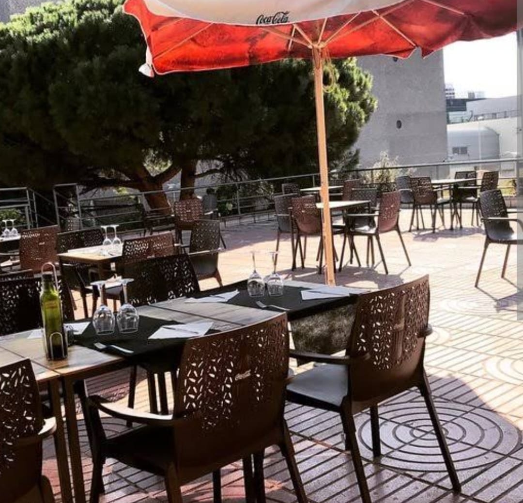 Recomendación a restauranteros, suspender servicio de comida en terrazas: Olivia Salomón