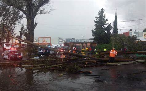 Caen seis árboles en el bulevar Xonaca tras fuerte lluvia
