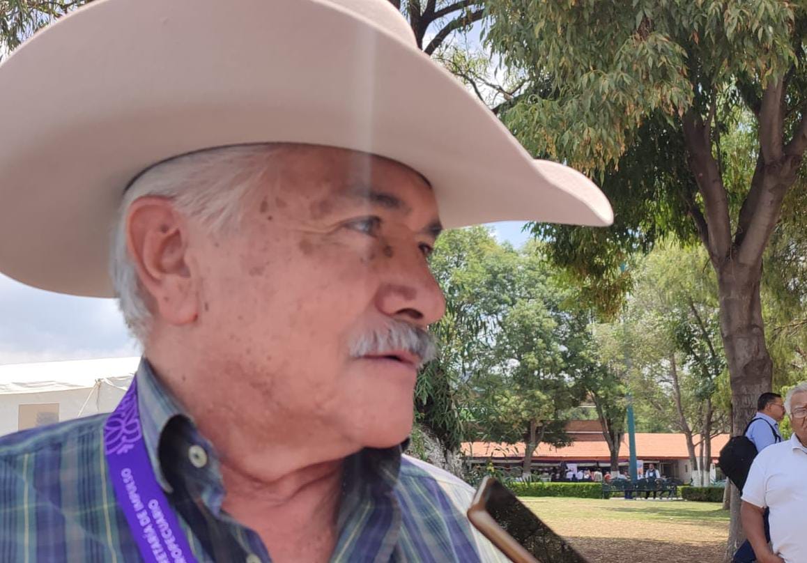 Por: Cortesía  Ceniza volcánica, de los mejores abonos para el campo: SIA