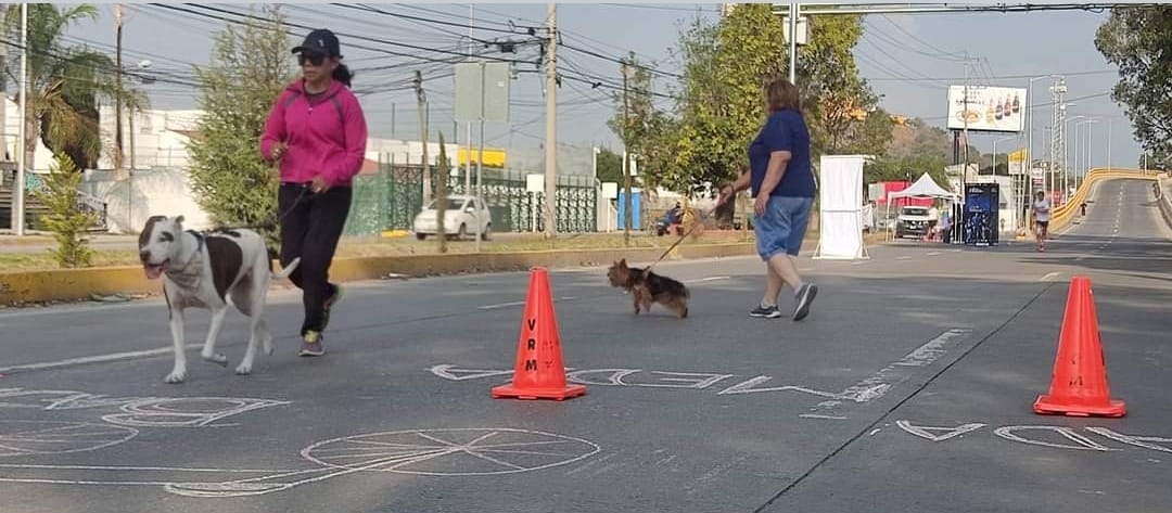 Por: Cortesía Lula Pineda Mayor vigilancia vial, menor participación de ciclistas en la Recta a Cholula ante reactivación de la “Vía Recreativa Metropolitana”