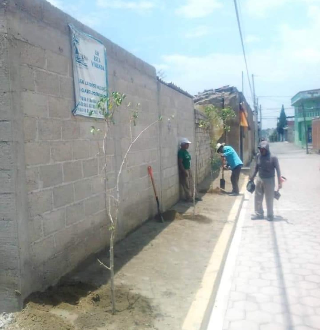 Por: Cortesía Lula Pineda Calpenses y Ayuntamiento trabajan en mejora de imagen urbana y educación forestal