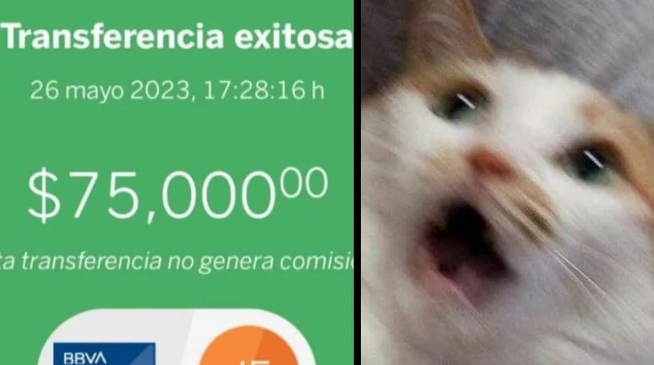 Mujer transfiere 75 mil pesos a cuenta equivocada; no sabe que hacer y pide ayuda para tratar de recuperar su dinero