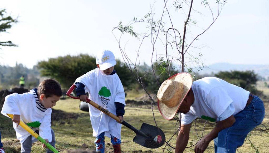 Por: Cortesía  BUAP convoca a reforestar el Ecocampus