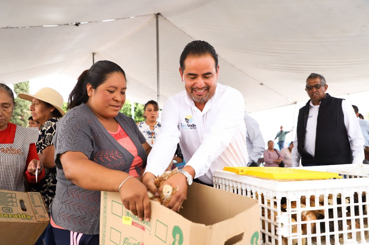 Entrega ayuntamiento de San Andrés Cholula paquetes de aves de traspatio
