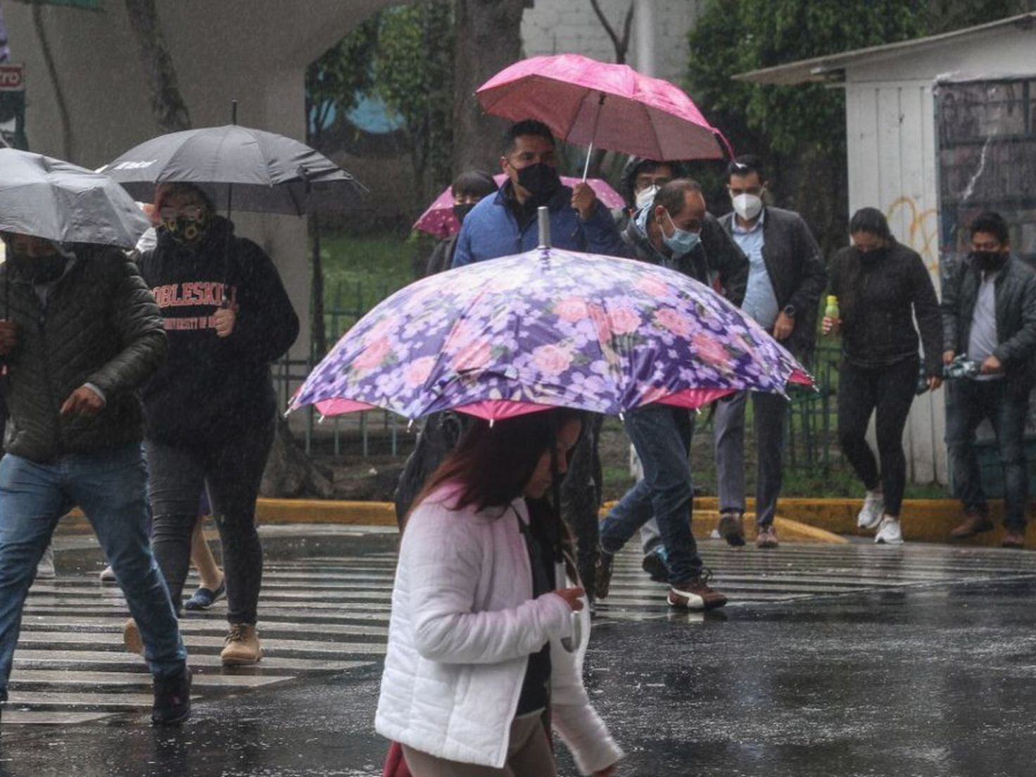 Por: Cortesía