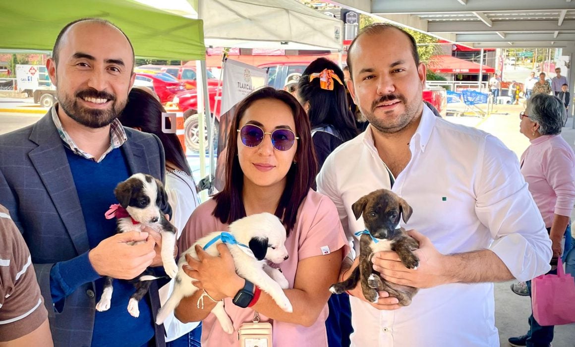 Exitosa, segunda jornada de adopción canina
