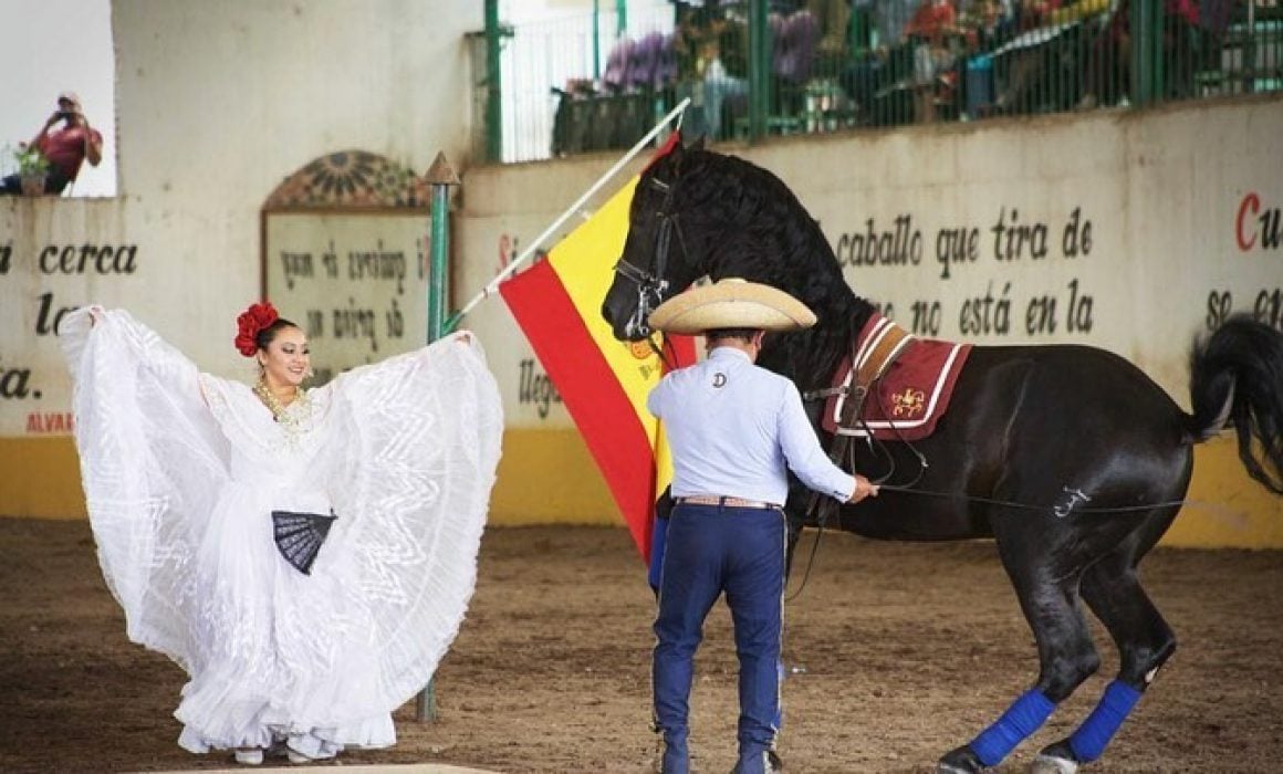 Por: Cortesía Realiza espectáculo ecuestre escuela Domecq en Tlaxcala la Feria de Ferias