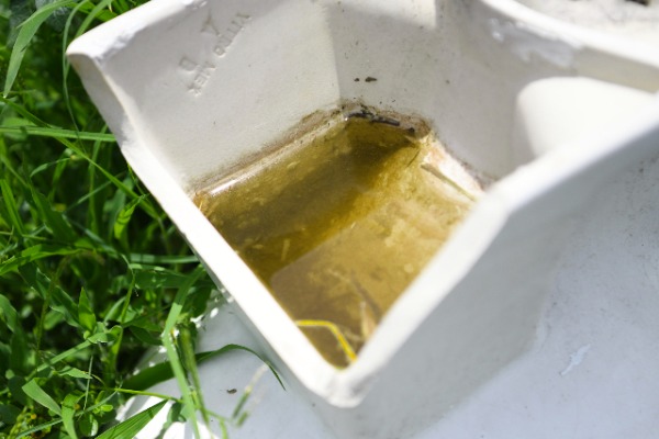 Puebla registra cerca de 3 mil casos de dengue en lo que va del año