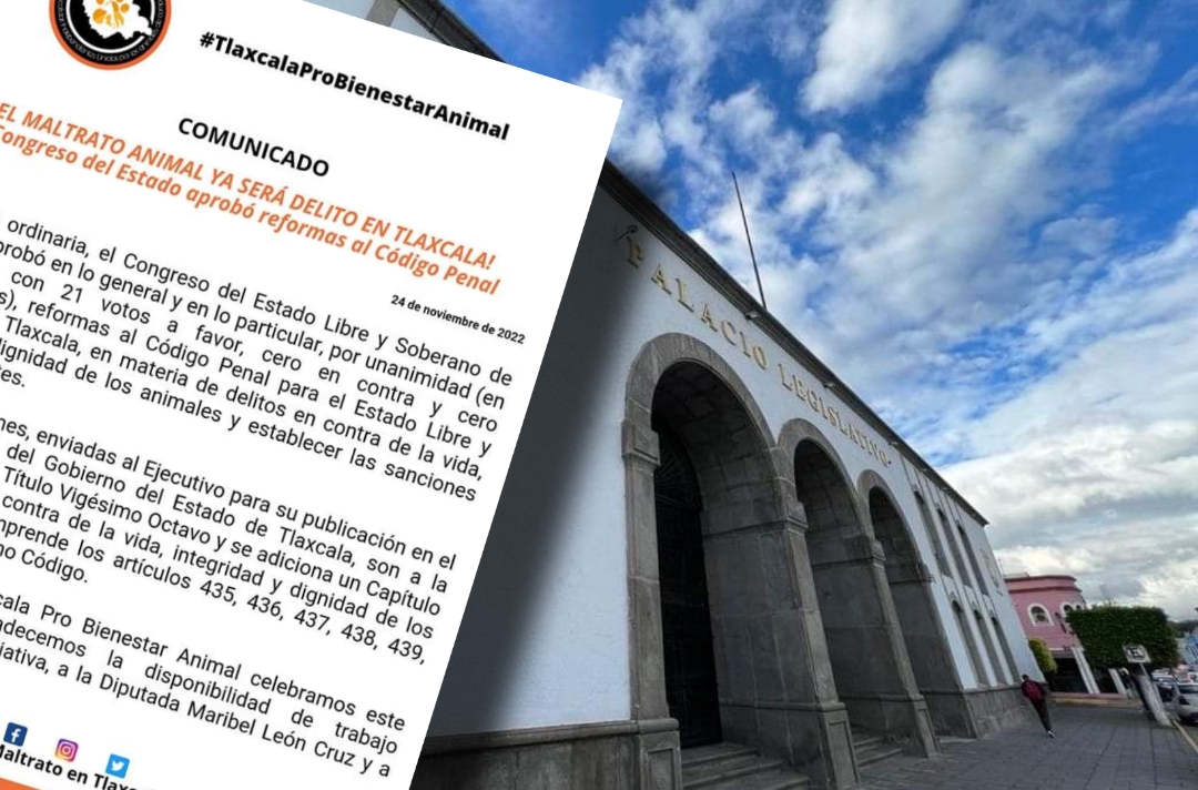 Avances lentos contra el maltrato animal en Tlaxcala, prevé el OCPA