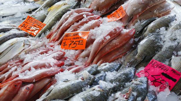 Por: Cortesía Anuncian clausura definitiva de negocios de Mariscos y Pescado en el Centro Histórico por vertido de desechos en jardineras