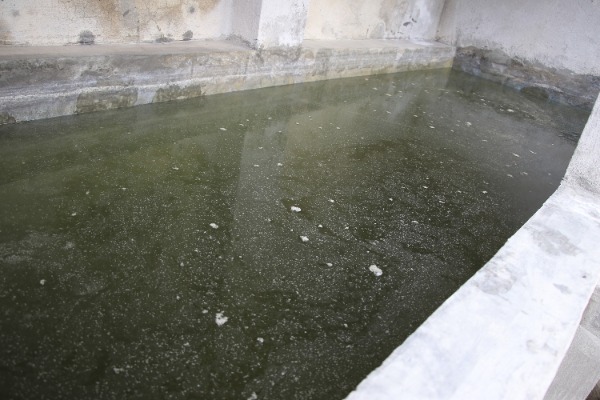 Por: Cortesía Dengue llega a 105 municipios de Puebla
