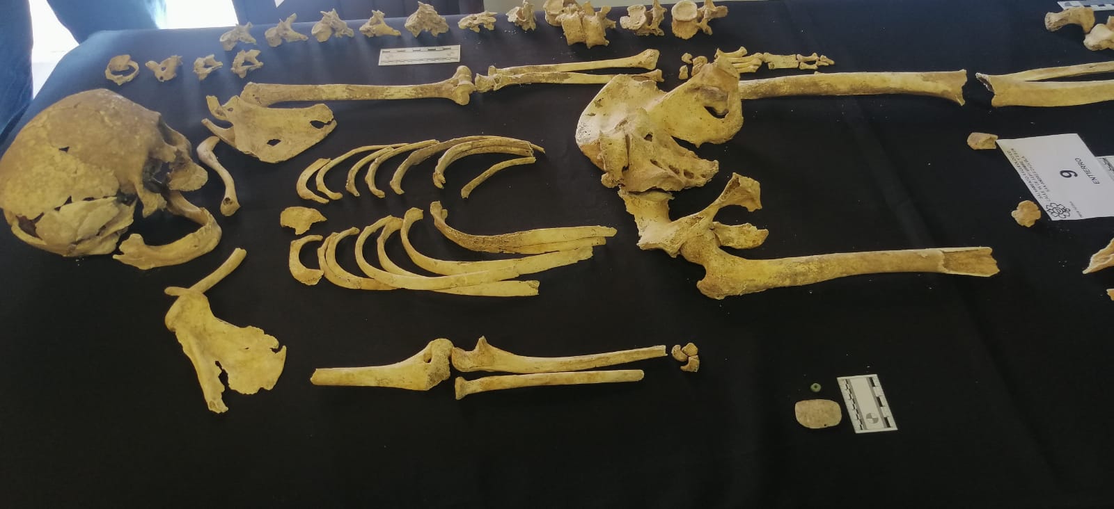 Descubrimientos arqueológicos hallados en San Andrés Cholula podría exhibirse en nuevo museo de sitio en la entidad