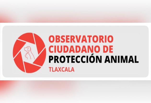 Ordena IAIP a 10 Ayuntamientos informar su omisión a Ley de bienestar