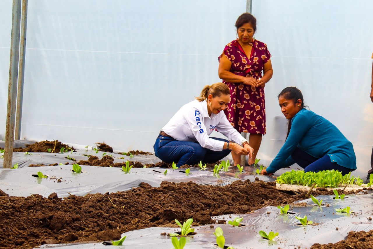 Paola Angon inicia la entrega de invernaderos de traspatio, para incentivar la agricultura familiar