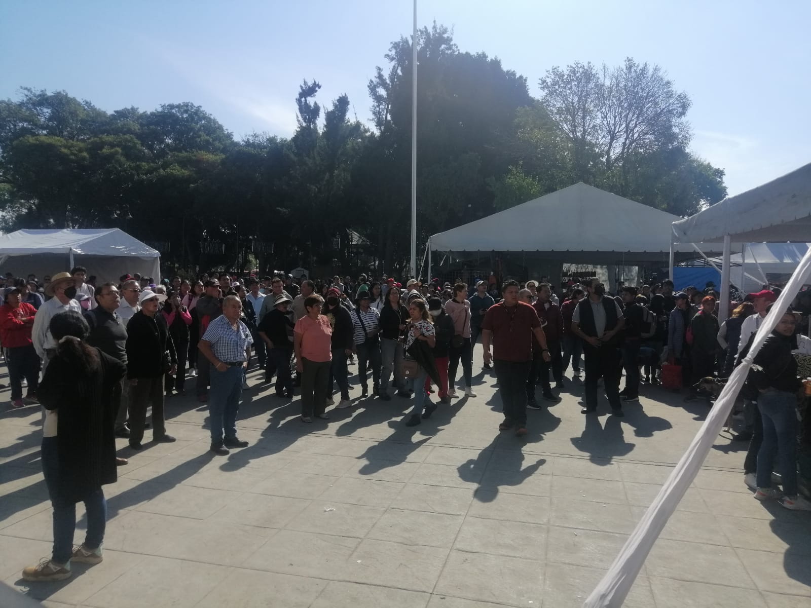 Desmiente Titular de SSC uso de gas lacrimógeno durante manifestación en Plaza de La Concordia