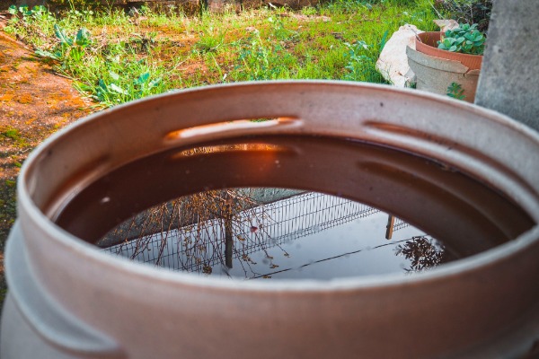 Suma Puebla más de 2 mil 400 casos de dengue en lo que va del año