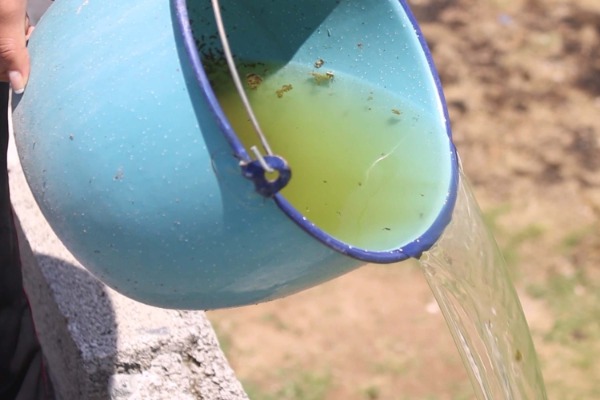 Por: Cortesía Puebla registra presencia de dengue en 103 municipios