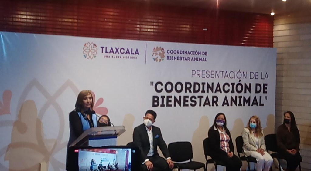 Por: Especial  Lamenta OCPA omisiones a Ley de Bienestar Animal; incumplen municipios y CBA