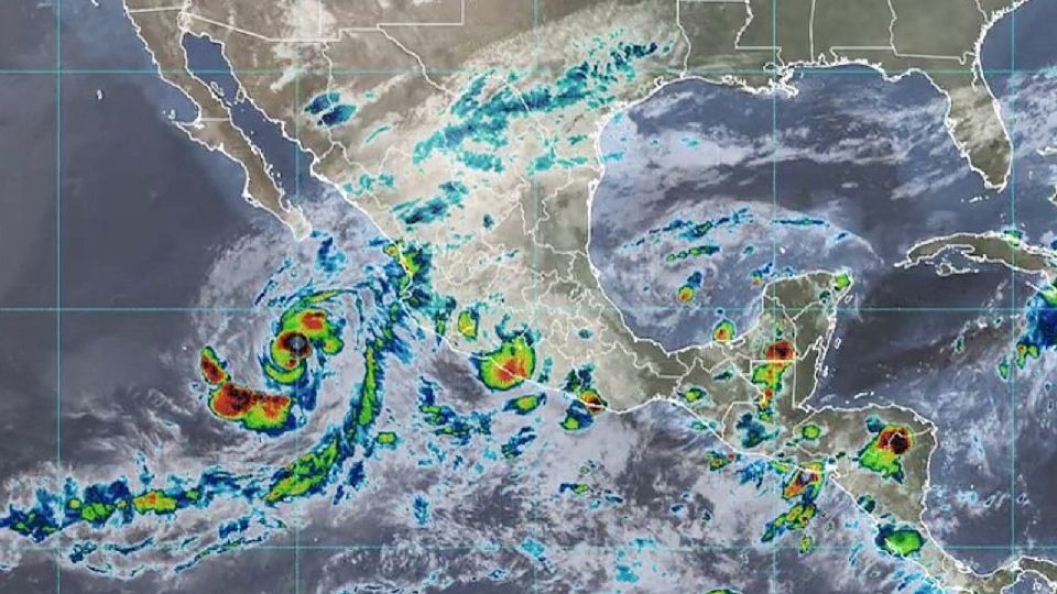 Por: Cortesía