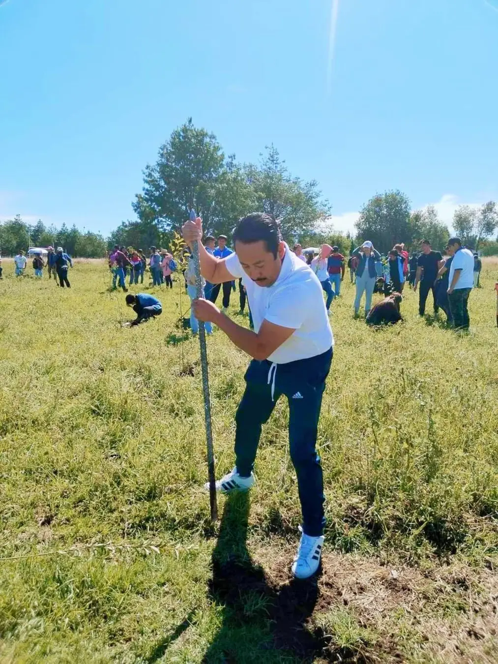 Programa de parquímetros en Puebla continúa a pesar de fallo de inconstitucionalidad