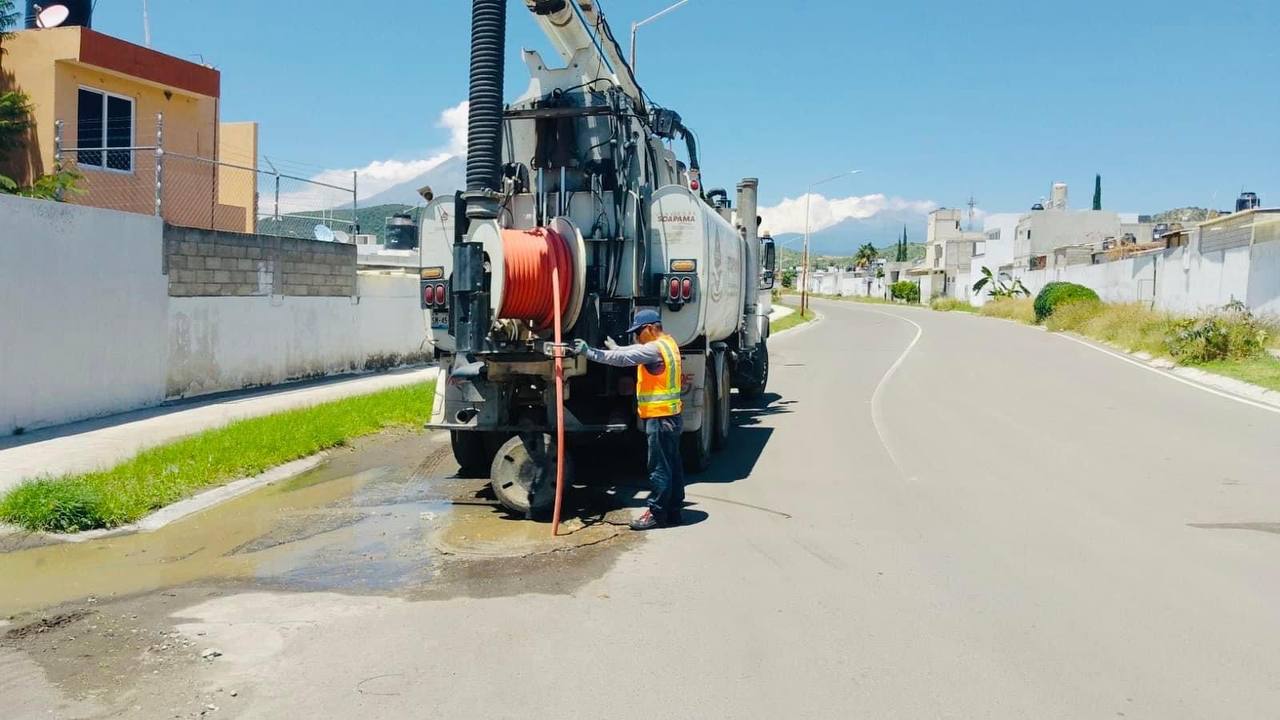 photo 4929411696393563337 y