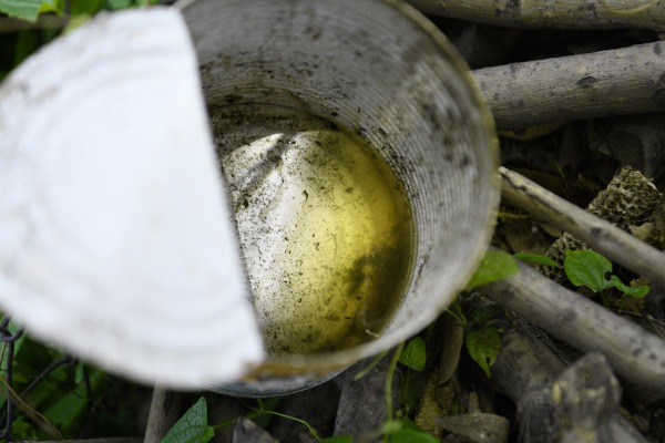 80 municipios de Puebla registran casos de dengue