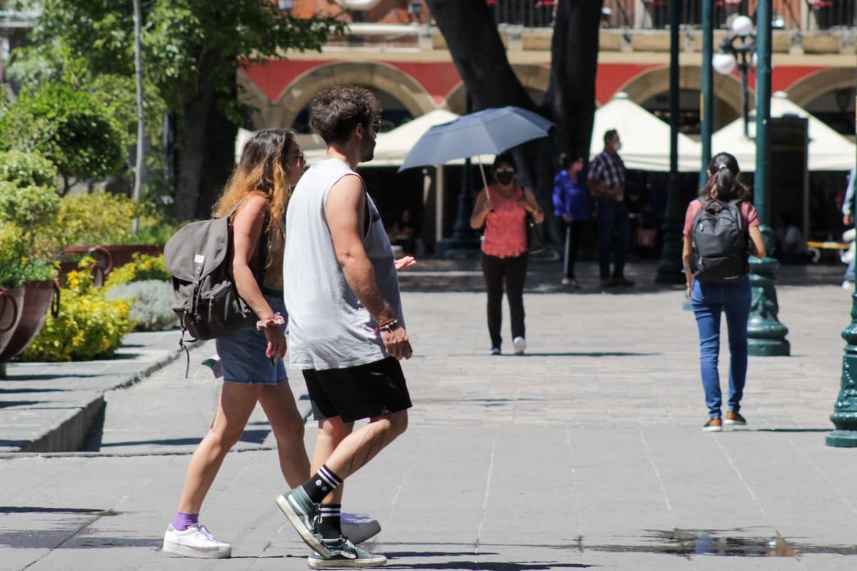 Por: Cortesía