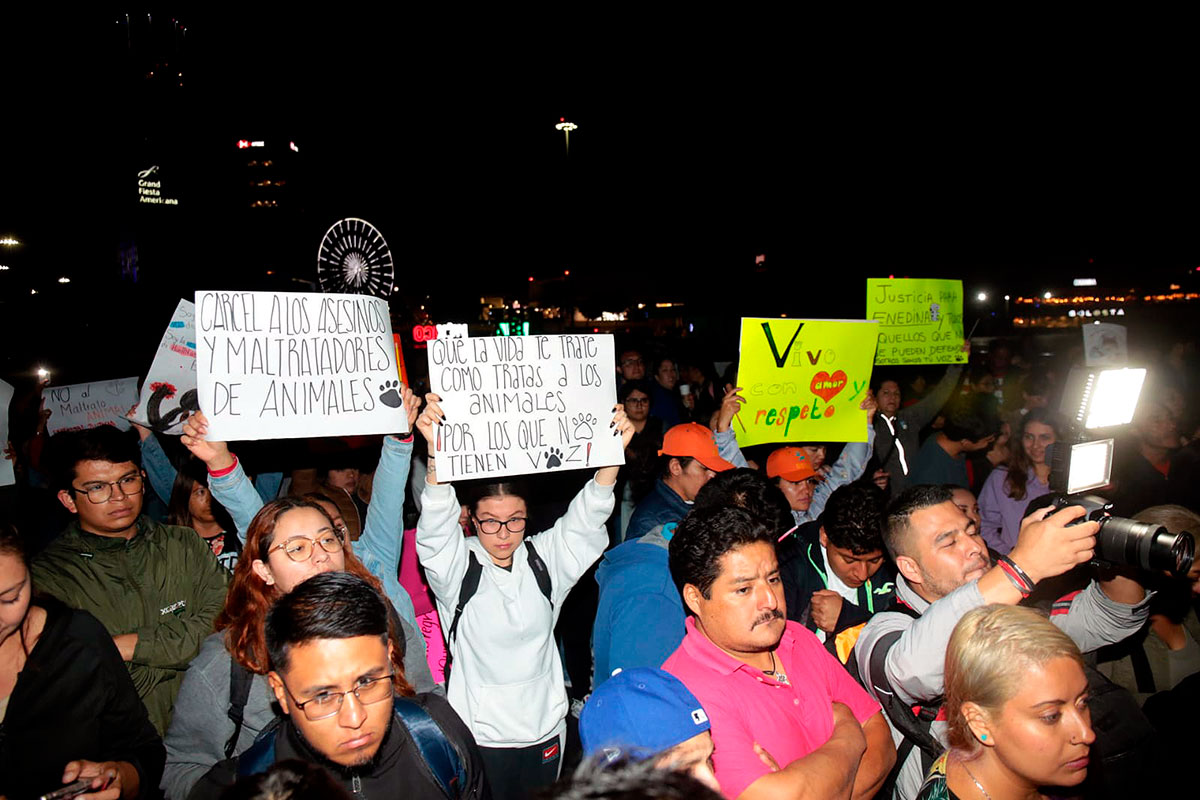 Por: Cortesía Protestan en Puebla para detener la escalada de violencia contra los animales