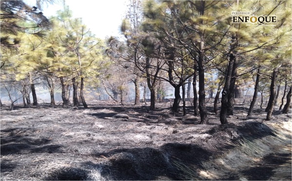 Foto: Marisol Oropeza