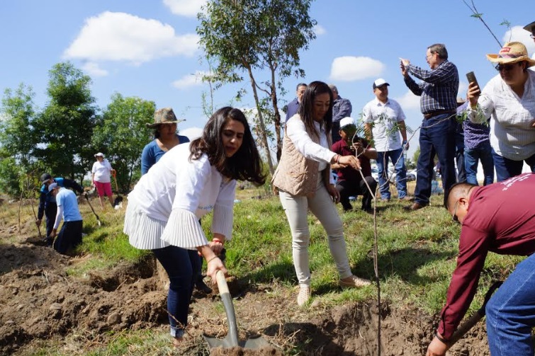 Foto: Especial Ordena Guillermo Pachecho reforestar el Cerro Zapotecas y el Parque Bicentenario