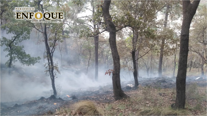 Foto: Marisol Oropeza