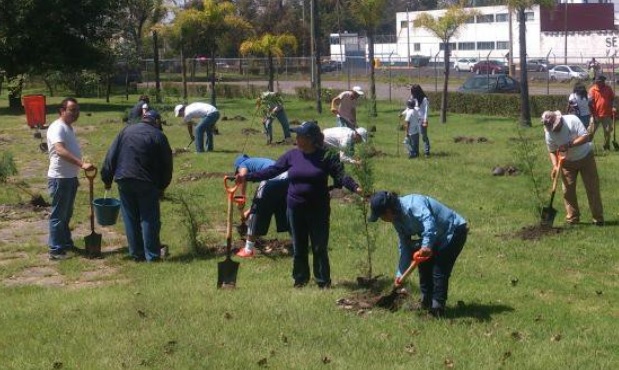 Foto: Especial Inician reforestación de más de mil 300 árboles en Puebla