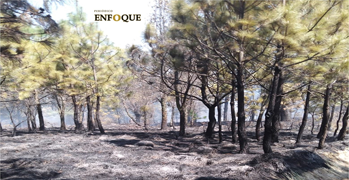 Foto: Marisol Oropeza