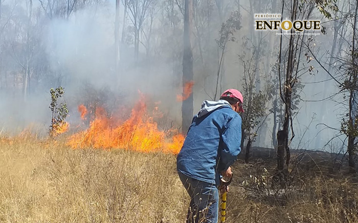 Foto: Gabriela García Guzmán