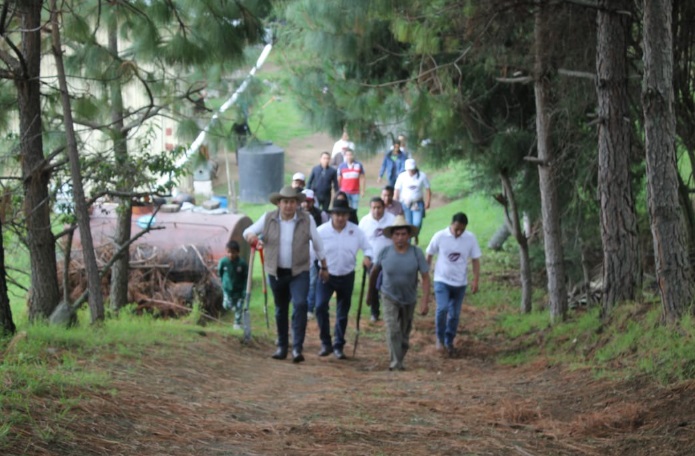 Foto: Especial Alejandro Armenta dona y siembran mil árboles en San Miguel Canoa