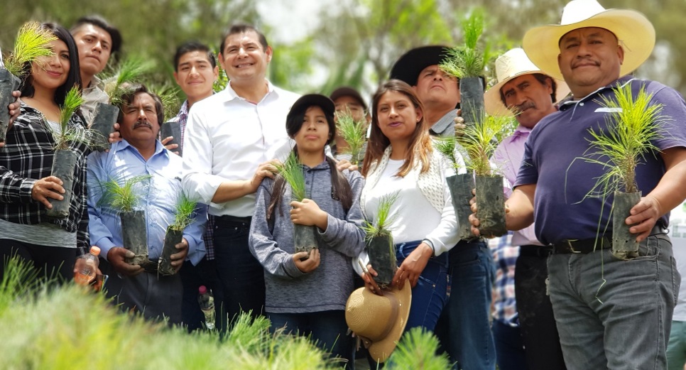 Foto: Especial Alejandro Armenta encabeza reforestación en Amozoc (Fotos)