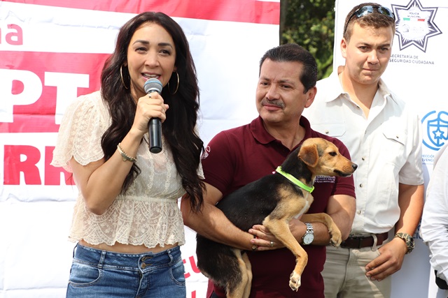 Encuentran nuevo hogar 35 perros en San Pedro Cholula 