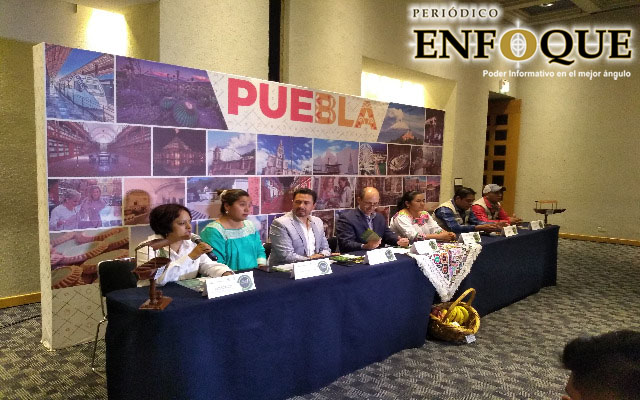 Foto: Daniel Jiménez Prevén derrama económica superior al millón de pesos para el primer Festival de Las Luciérnagas