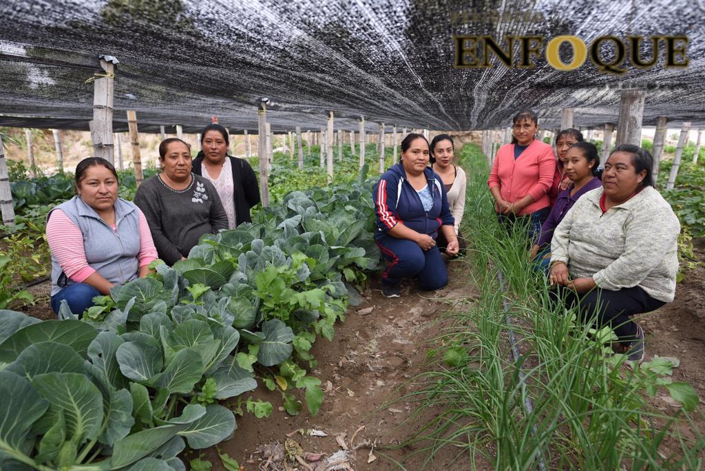 Mujeres de Oriental inician proyectos productivos de siembra