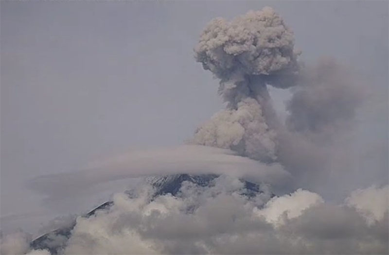 Foto: Cortesía  Mantiene Popocatépetl actividad continua y presenta 150 exhalaciones