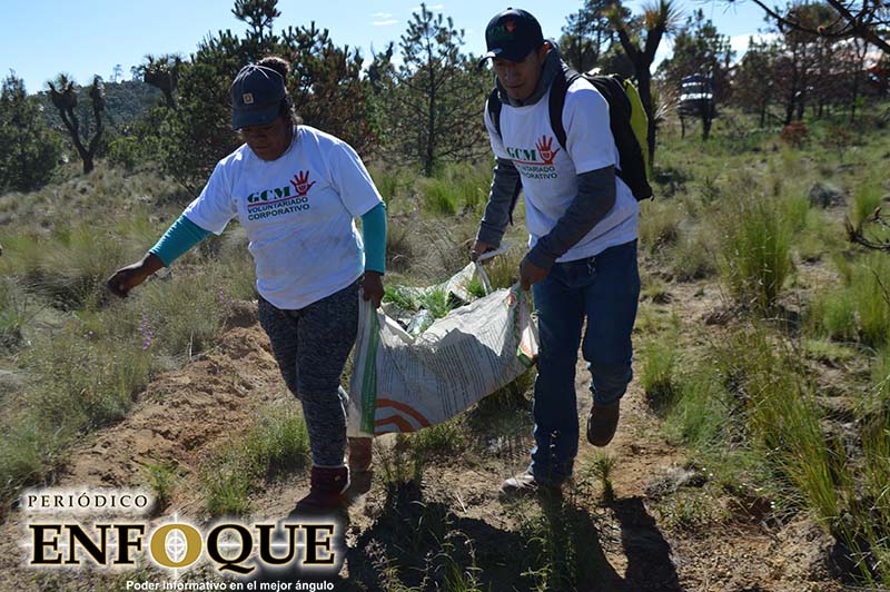Granjas Caroll realiza Campaña de Reforestación 2019